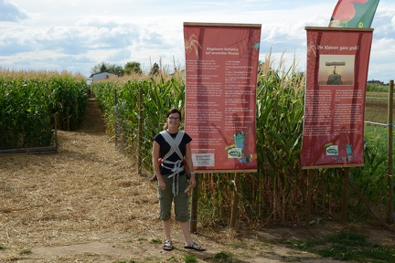 Corn Maze Entrance1